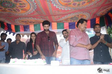 Oka Manasu Movie Success Celebrations